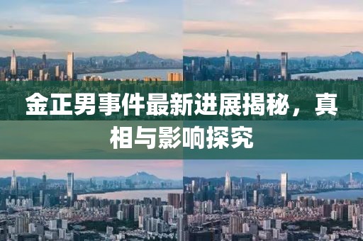 金正男事件最新進展揭秘，真相與影響探究