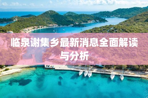 臨泉謝集鄉(xiāng)最新消息全面解讀與分析