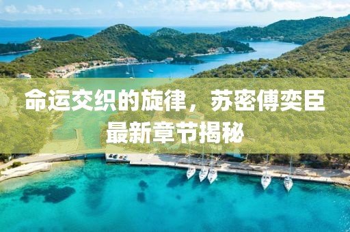 命運交織的旋律，蘇密傅奕臣最新章節(jié)揭秘