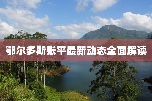 鄂爾多斯張平最新動(dòng)態(tài)全面解讀