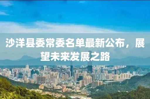 沙洋縣委常委名單最新公布，展望未來發(fā)展之路