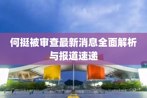 何挺被審查最新消息全面解析與報道速遞