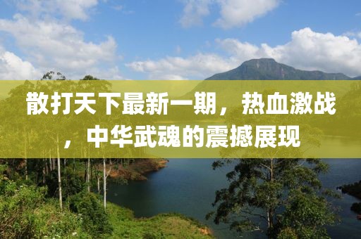 散打天下最新一期，熱血激戰(zhàn)，中華武魂的震撼展現(xiàn)