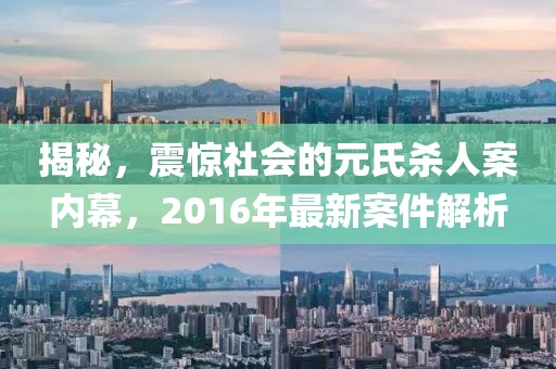 揭秘，震驚社會(huì)的元氏殺人案內(nèi)幕，2016年最新案件解析