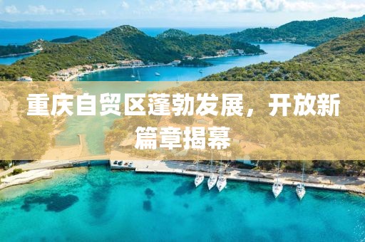 重慶自貿(mào)區(qū)蓬勃發(fā)展，開放新篇章揭幕