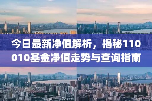 今日最新凈值解析，揭秘110010基金凈值走勢(shì)與查詢指南