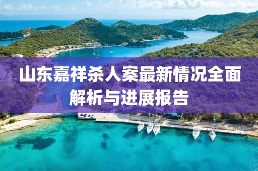 山東嘉祥殺人案最新情況全面解析與進展報告
