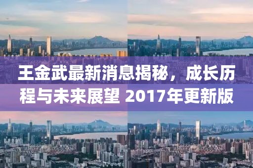 王金武最新消息揭秘，成長歷程與未來展望 2017年更新版