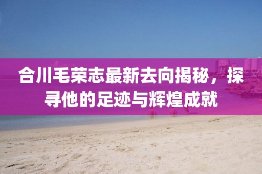 合川毛榮志最新去向揭秘，探尋他的足跡與輝煌成就