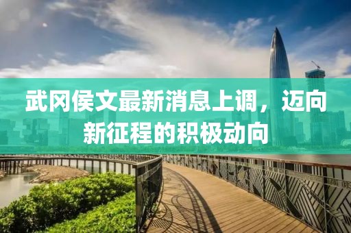 武岡侯文最新消息上調(diào)，邁向新征程的積極動向