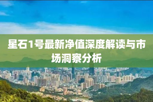 星石1號最新凈值深度解讀與市場洞察分析