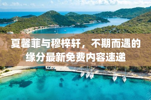 夏馨菲與穆梓軒，不期而遇的緣分最新免費內(nèi)容速遞