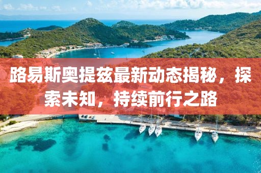 路易斯奧提茲最新動態(tài)揭秘，探索未知，持續(xù)前行之路