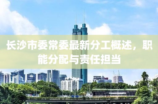 長沙市委常委最新分工概述，職能分配與責(zé)任擔(dān)當(dāng)