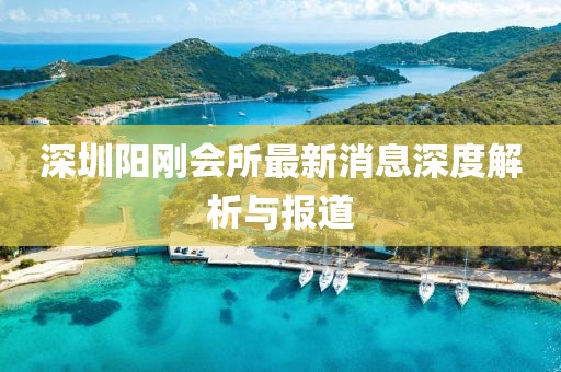 深圳陽(yáng)剛會(huì)所最新消息深度解析與報(bào)道