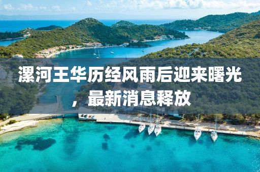 漯河王華歷經(jīng)風(fēng)雨后迎來曙光，最新消息釋放
