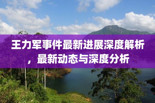 王力軍事件最新進(jìn)展深度解析，最新動(dòng)態(tài)與深度分析