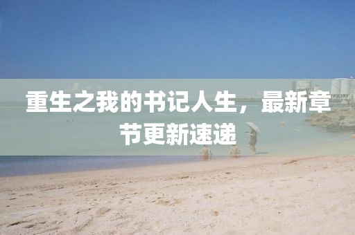 重生之我的書記人生，最新章節(jié)更新速遞