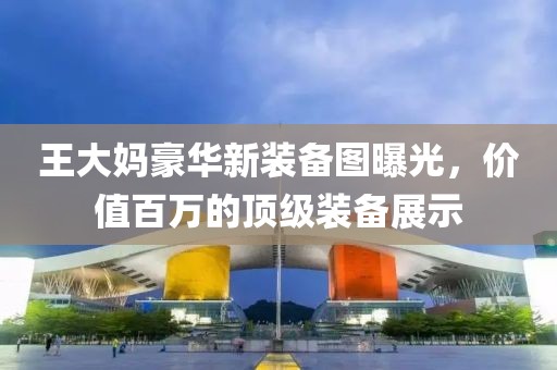 王大媽豪華新裝備圖曝光，價(jià)值百萬的頂級(jí)裝備展示