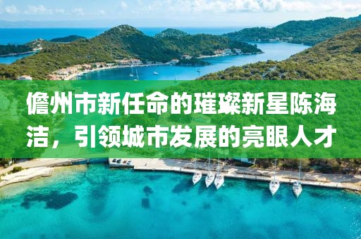 儋州市新任命的璀璨新星陳海潔，引領(lǐng)城市發(fā)展的亮眼人才