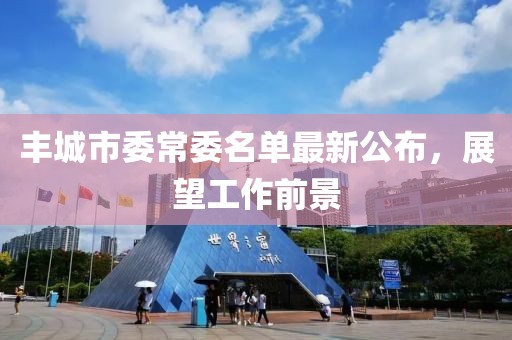豐城市委常委名單最新公布，展望工作前景