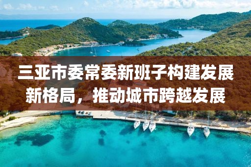 三亞市委常委新班子構建發(fā)展新格局，推動城市跨越發(fā)展