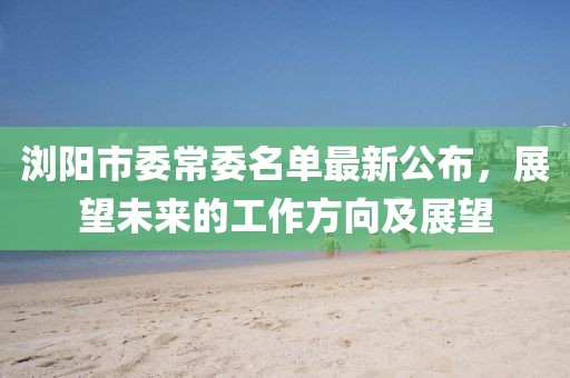 瀏陽(yáng)市委常委名單最新公布，展望未來(lái)的工作方向及展望