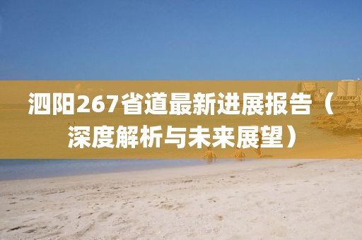 泗陽267省道最新進展報告（深度解析與未來展望）