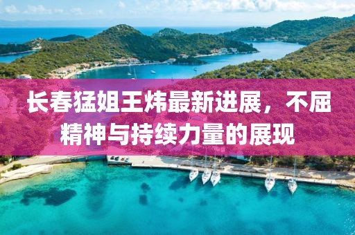 長(zhǎng)春猛姐王煒最新進(jìn)展，不屈精神與持續(xù)力量的展現(xiàn)