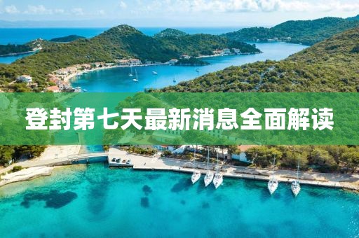 登封第七天最新消息全面解讀