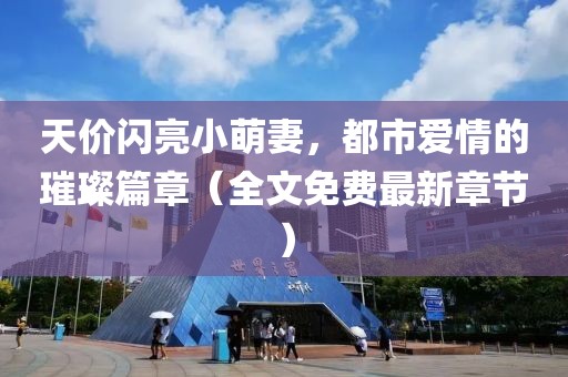 天價閃亮小萌妻，都市愛情的璀璨篇章（全文免費最新章節(jié)）