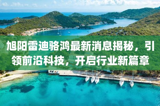 旭陽雷迪駱鴻最新消息揭秘，引領(lǐng)前沿科技，開啟行業(yè)新篇章