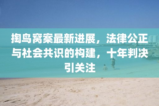 掏鳥窩案最新進(jìn)展，法律公正與社會共識的構(gòu)建，十年判決引關(guān)注