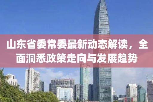 山東省委常委最新動態(tài)解讀，全面洞悉政策走向與發(fā)展趨勢