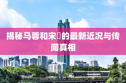 揭秘馬蓉和宋喆的最新近況與傳聞真相