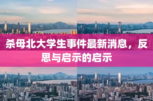 殺母北大學(xué)生事件最新消息，反思與啟示的啟示