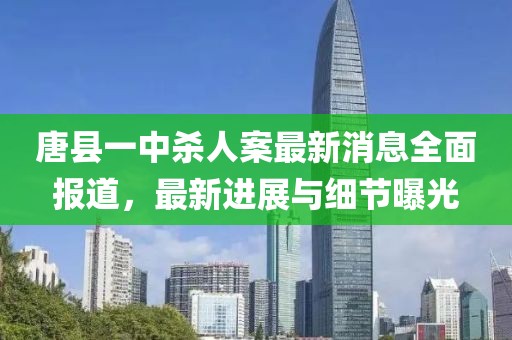 唐縣一中殺人案最新消息全面報道，最新進展與細節(jié)曝光