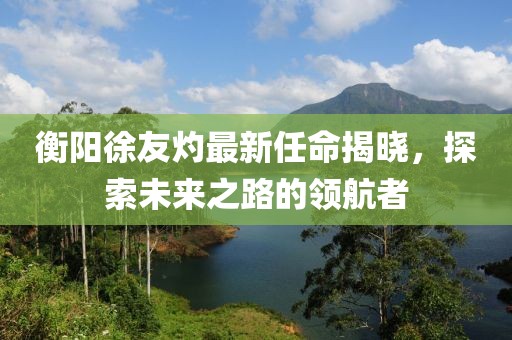 衡陽(yáng)徐友灼最新任命揭曉，探索未來(lái)之路的領(lǐng)航者