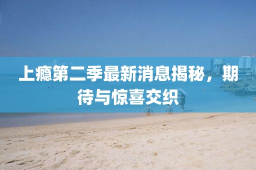 上癮第二季最新消息揭秘，期待與驚喜交織