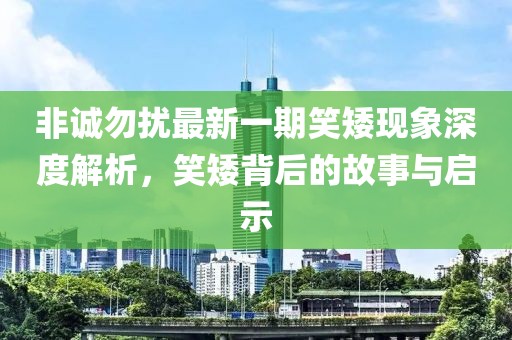 非誠勿擾最新一期笑矮現(xiàn)象深度解析，笑矮背后的故事與啟示