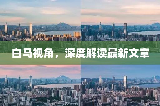 白馬視角，深度解讀最新文章
