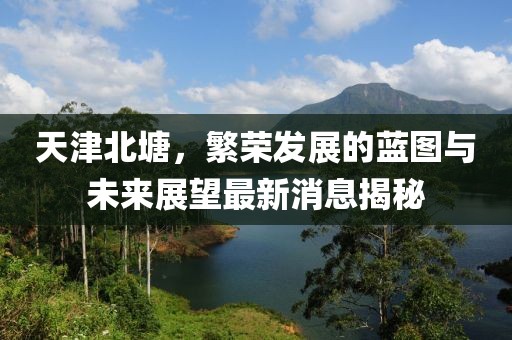 天津北塘，繁榮發(fā)展的藍(lán)圖與未來展望最新消息揭秘