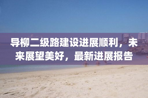 導(dǎo)柳二級路建設(shè)進展順利，未來展望美好，最新進展報告