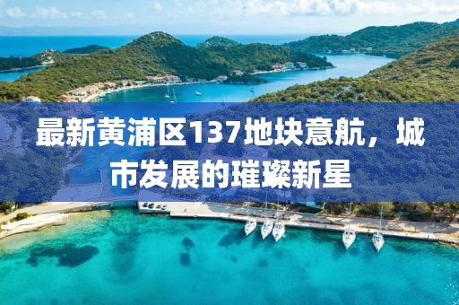 最新黃浦區(qū)137地塊意航，城市發(fā)展的璀璨新星