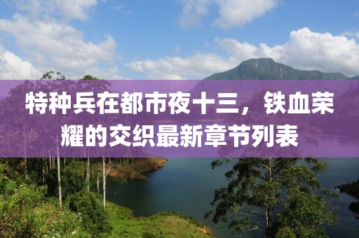 特種兵在都市夜十三，鐵血榮耀的交織最新章節(jié)列表