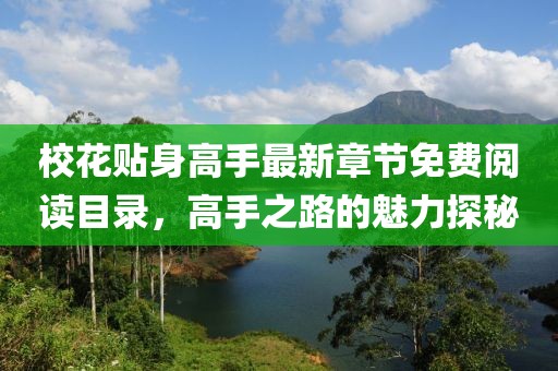 ?；ㄙN身高手最新章節(jié)免費閱讀目錄，高手之路的魅力探秘