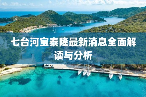 七臺(tái)河寶泰隆最新消息全面解讀與分析