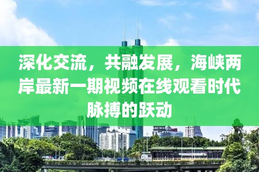 深化交流，共融發(fā)展，海峽兩岸最新一期視頻在線觀看時(shí)代脈搏的躍動(dòng)