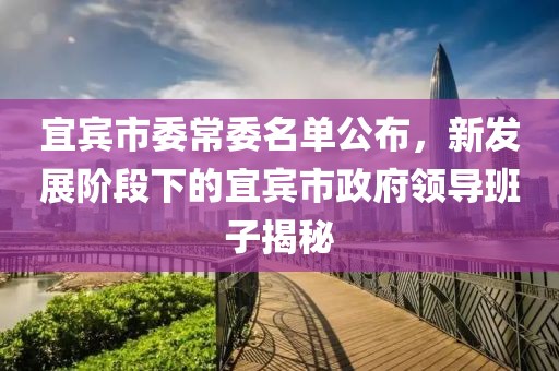 宜賓市委常委名單公布，新發(fā)展階段下的宜賓市政府領(lǐng)導班子揭秘