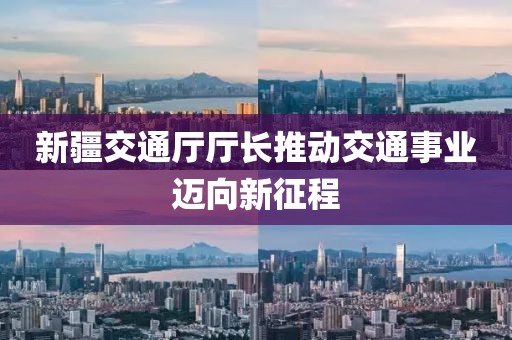 新疆交通廳廳長推動交通事業(yè)邁向新征程